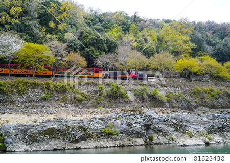 From the boat down the Hozu River in Kyoto, you can see the trolley train running in Hozu Gorge in the spring. 81623438