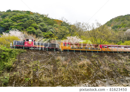 Looking up at the trolley train running in Hozukyo in the spring from the boat going down the Hozu River in Kyoto. 81623450
