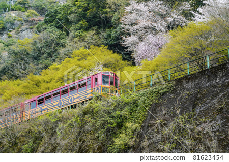 從京都的寶津川上乘船，仰望春天穿過寶津峽的電車。 81623454