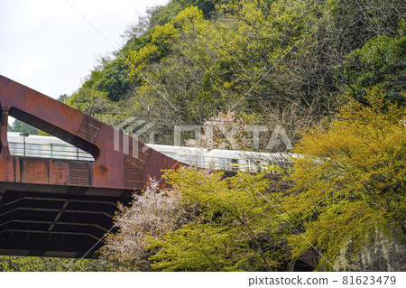 仰望從京都保津川下的小船穿過橋的火車。 仰望從京都保津川下的小船穿過橋的火車。 81623479