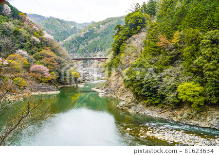 The scenery along the Hozu River in the spring, as seen from the Sagano Sightseeing Train. The scenery along the Hozu River in the spring, as seen from the Sagano Sightseeing Train. 81623634