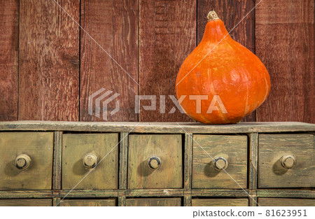 rustic holiday background with squash rustic holiday background with squash 81623951