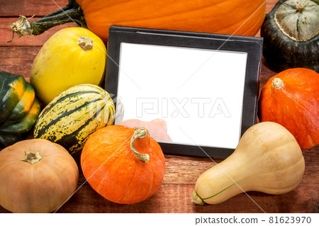 blank digital tablet with pumpkin and squash 81623970