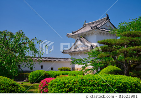 【兵庫縣】五月，翠綠的姬路城 81623991