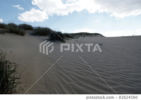 Tottori four seasons walk autumn sand dunes Tottori four seasons walk autumn sand dunes 81624560