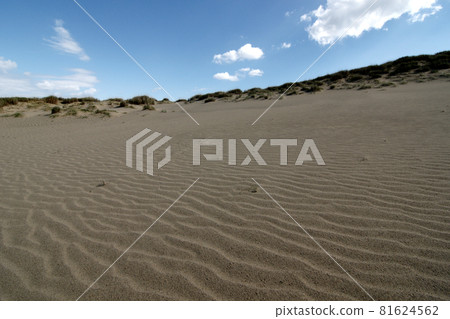 Tottori four seasons walk autumn sand dunes Tottori four seasons walk autumn sand dunes 81624562