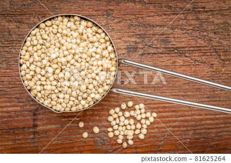 white sorghum grain in a metal scoop 81625264