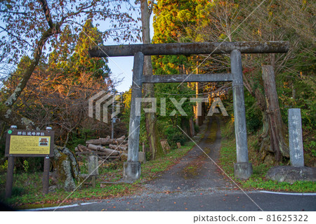 Near Jomine Park, Torii, Autumn scenery, Autumn leaves season 81625322