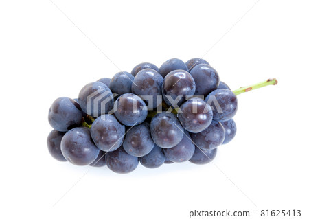 A bunch of pione [white background] 81625413