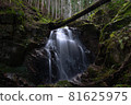 瀑布和長滿青苔的岩石 81625975