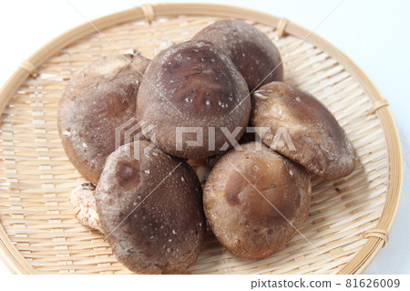 香菇秋味火鍋材料 香菇秋味火鍋材料 81626009