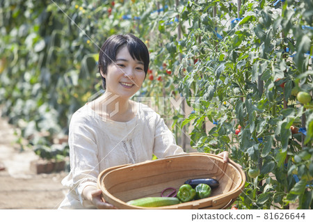 A woman harvesting summer vegetables A woman harvesting summer vegetables 81626644