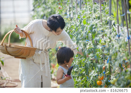 家庭一家 81626675