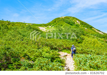 夏季唐松岳登山:八方池-丸山古龍水 夏季唐松岳登山:八方池-丸山古龍水 81626702