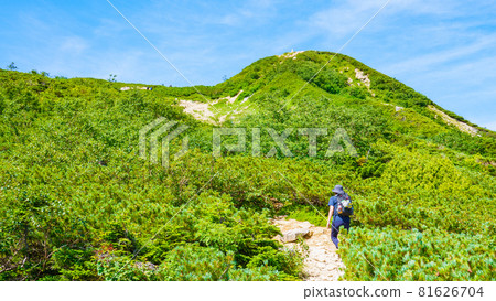夏季唐松岳登山:八方池-丸山古龍水 夏季唐松岳登山:八方池-丸山古龍水 81626704