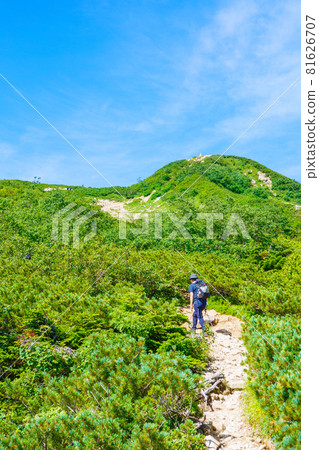 夏季唐松岳登山:八方池-丸山古龍水 夏季唐松岳登山:八方池-丸山古龍水 81626707