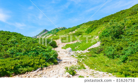 夏季唐松岳登山:八方池-丸山古龍水 夏季唐松岳登山:八方池-丸山古龍水 81626758