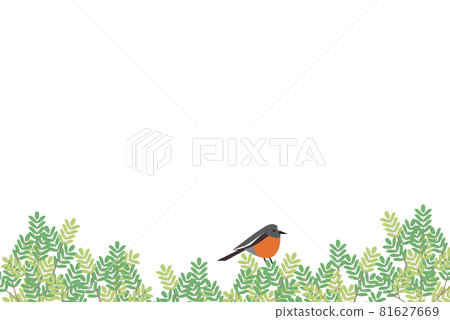 Flame robin flame robbin 81627669