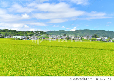 環顧朝科溫泉本之湯（長野縣佐久市） [2021.8] 81627965
