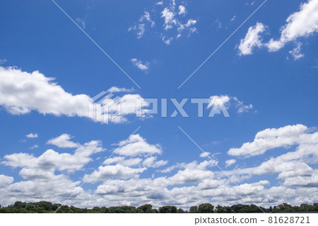White clouds in the blue sky over the green trees White clouds in the blue sky over the green trees 81628721
