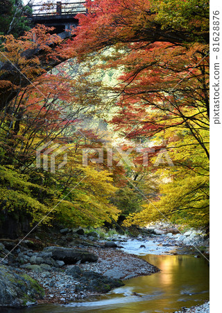 櫪木縣鹿沼市大石溪谷 81628876