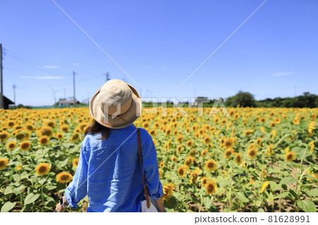 Back view of a woman looking at a sunflower 81628991