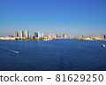 A bird's-eye view of the bay area 81629250