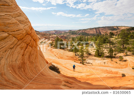 Hike in Utah 81630065