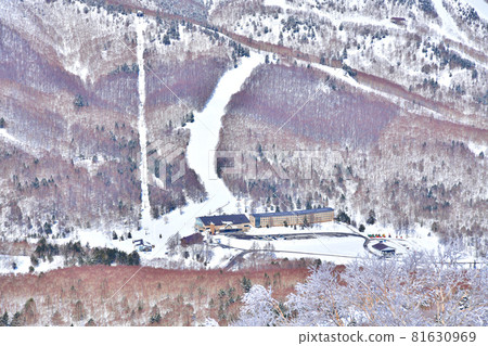 Yakebitaiyama Ski Resort / View towards the Shiga Kogen Prince Hotel West Wing (Yamanouchi Town, Nagano Prefecture) [2021.3] 81630969