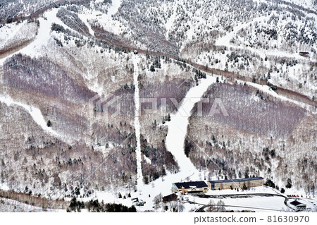 Yakebitaiyama Ski Resort / View towards the Shiga Kogen Prince Hotel West Wing (Yamanouchi Town, Nagano Prefecture) [2021.3] 81630970