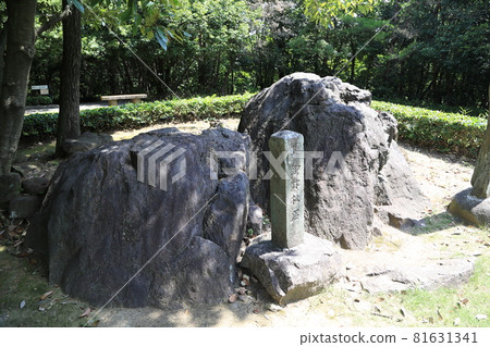 Floor and desk stone 81631341