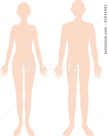 Human body silhouette of male and female body Human body silhouette of male and female body 81631491