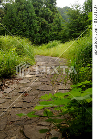 Kagase Pass [Hidaka Town, Hidaka District, Wakayama Prefecture, Hirogawa Town, Arida District] 81631537