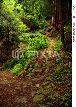 Crossing the Kagase Pass [Hidaka Town, Hidaka District, Wakayama Prefecture] 81631555