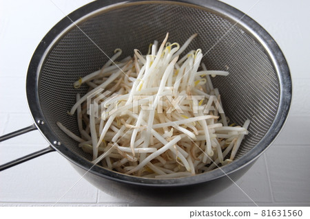 Wash the bean sprouts in a colander 81631560