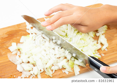 切碎的洋蔥 81631961
