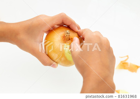 洋蔥皮 81631968