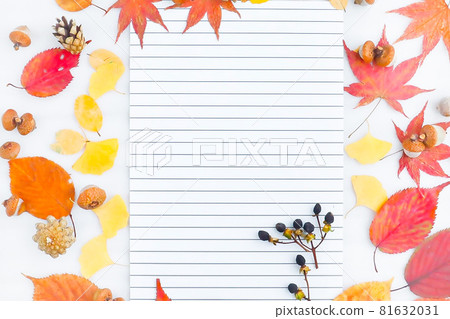 Autumn News Letter Paper Frame Horizontal Writing Autumn News Letter Paper Frame Horizontal Writing 81632031