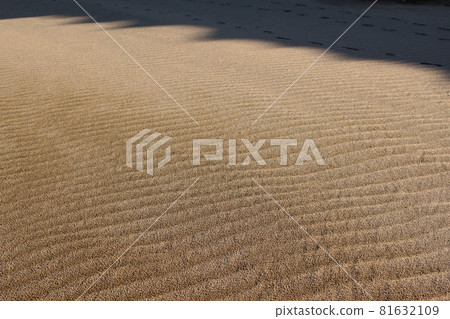 鳥取四季漫步秋日沙丘 81632109