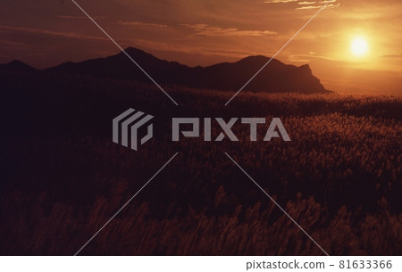 H高原 H高原 81633366