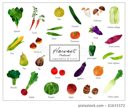 Colorful watercolor bleeding vegetable illustration set 81633372