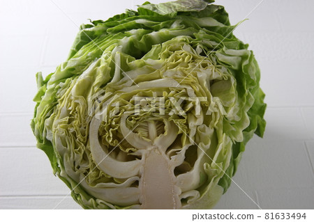 Cross section of a cabbage cut in half Cross section of a cabbage cut in half 81633494