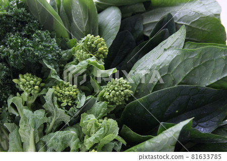 綠色和黃色蔬菜特寫鏡頭:綠花椰菜、油菜花、komatsuna、歐芹、高麗菜 綠色和黃色蔬菜特寫鏡頭:綠花椰菜、油菜花、komatsuna、歐芹、高麗菜 81633785