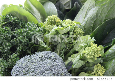 Close-up of green and yellow vegetables: Broccoli, rape blossoms, komatsuna, parsley, Chinese cabbage 81633787