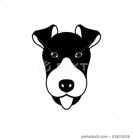 Portrait of Fox Terrier Portrait of Fox Terrier 81633816