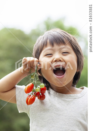 Farmer's child with cherry tomatoes Farmer's child with cherry tomatoes 81633881
