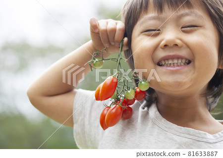 Farmer's child with cherry tomatoes Farmer's child with cherry tomatoes 81633887