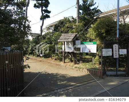 茅崎市冰室山茶園(正門)山茶花開時節 茅崎市冰室山茶園(正門)山茶花開時節 81634079