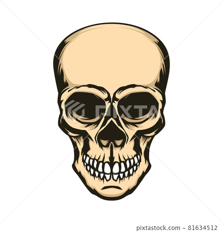 Skull illustration isolated on white background. Design element for logo, label, sign. Vector illustration Skull illustration isolated on white background. Design element for logo, label, sign. Vector illustration 81634512