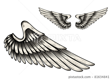 illustration of wings in tattoo style isolated on white background. Design element for logo, label, badge, sign. Vector illustration illustration of wings in tattoo style isolated on white background. Design element for logo, label, badge, sign. Vector illustration 81634841